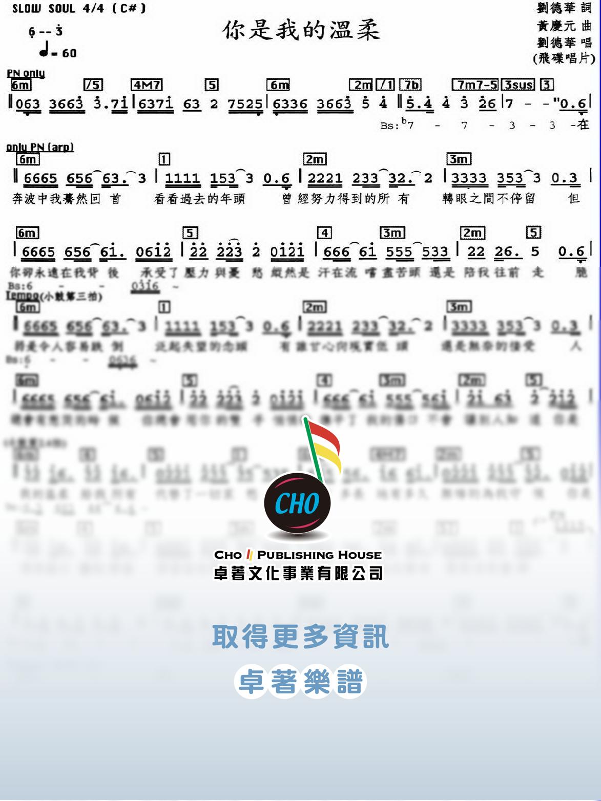 你是我的溫柔